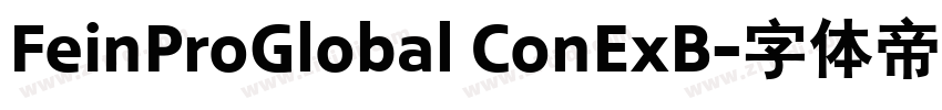 FeinProGlobal ConExB字体转换